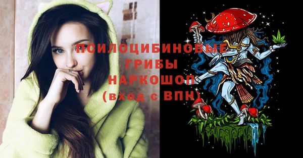 индика Валуйки