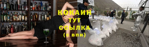 индика Валуйки
