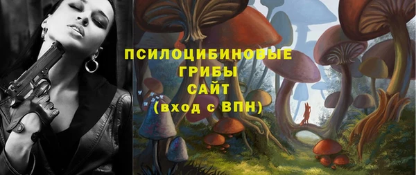 индика Валуйки
