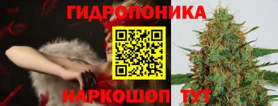 трава Берёзовский