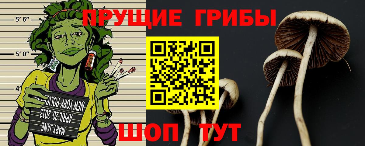 Луховицы  магазин продажи   Вход с VPN  Галлюциногенные грибы прущие грибы  Галлюциногенные грибы MAGIC MUSHROOMS 