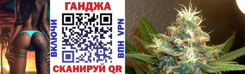 Конопля гибрид  Луховицы 